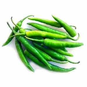 Fresh Vegetable Exporters India - Fresh Green Chilli